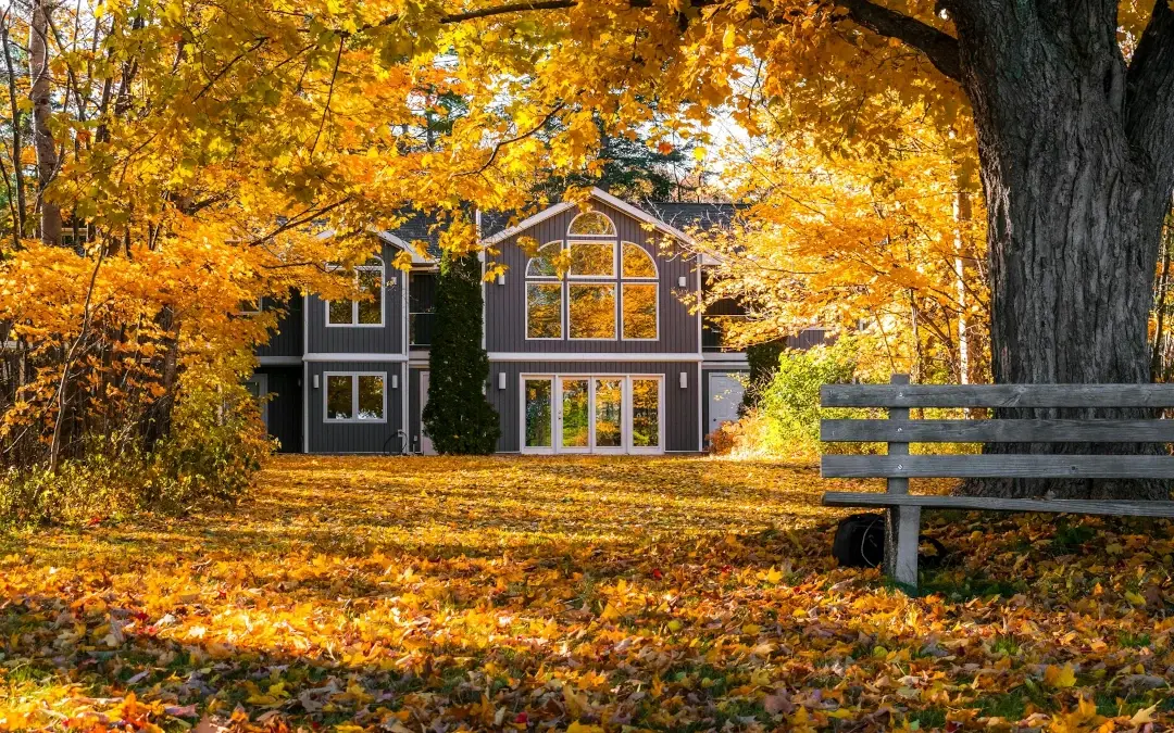 home surrounded by orange and yellow leaves