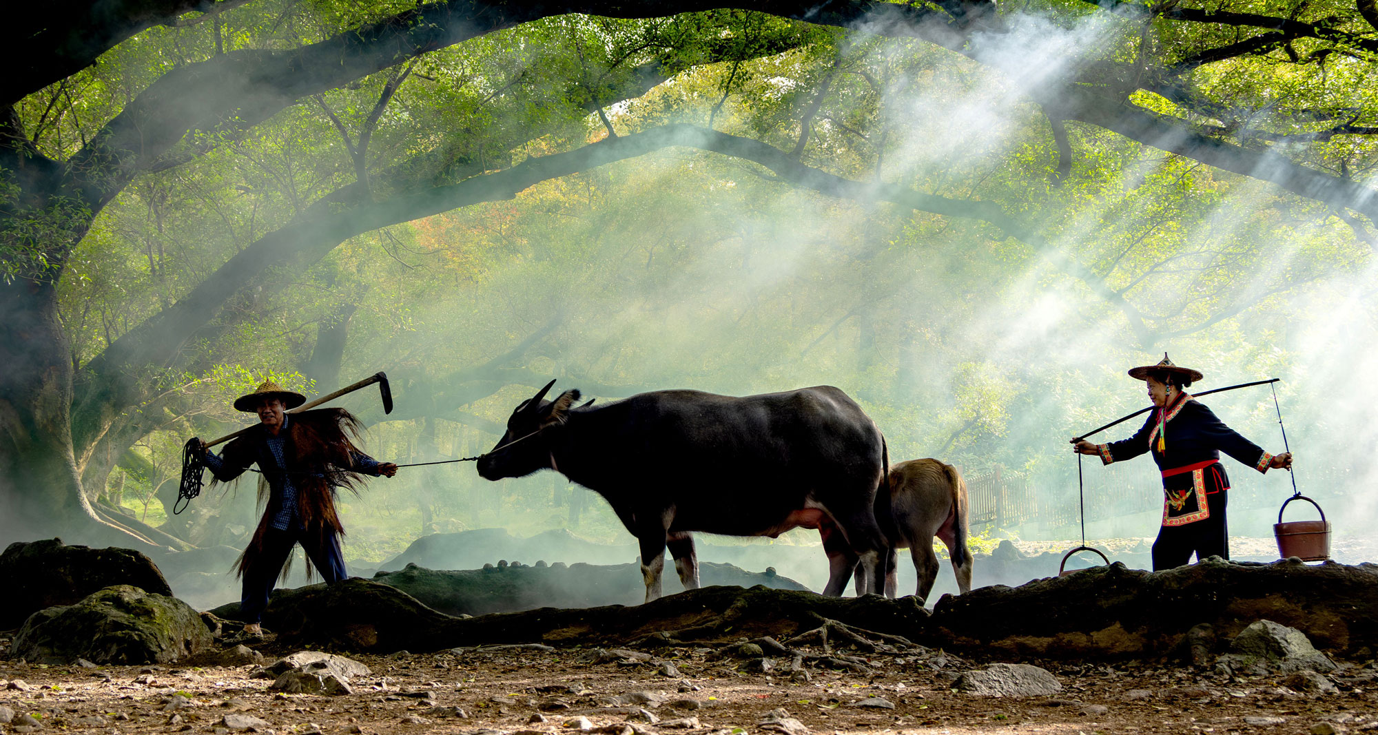Northern Vietnam