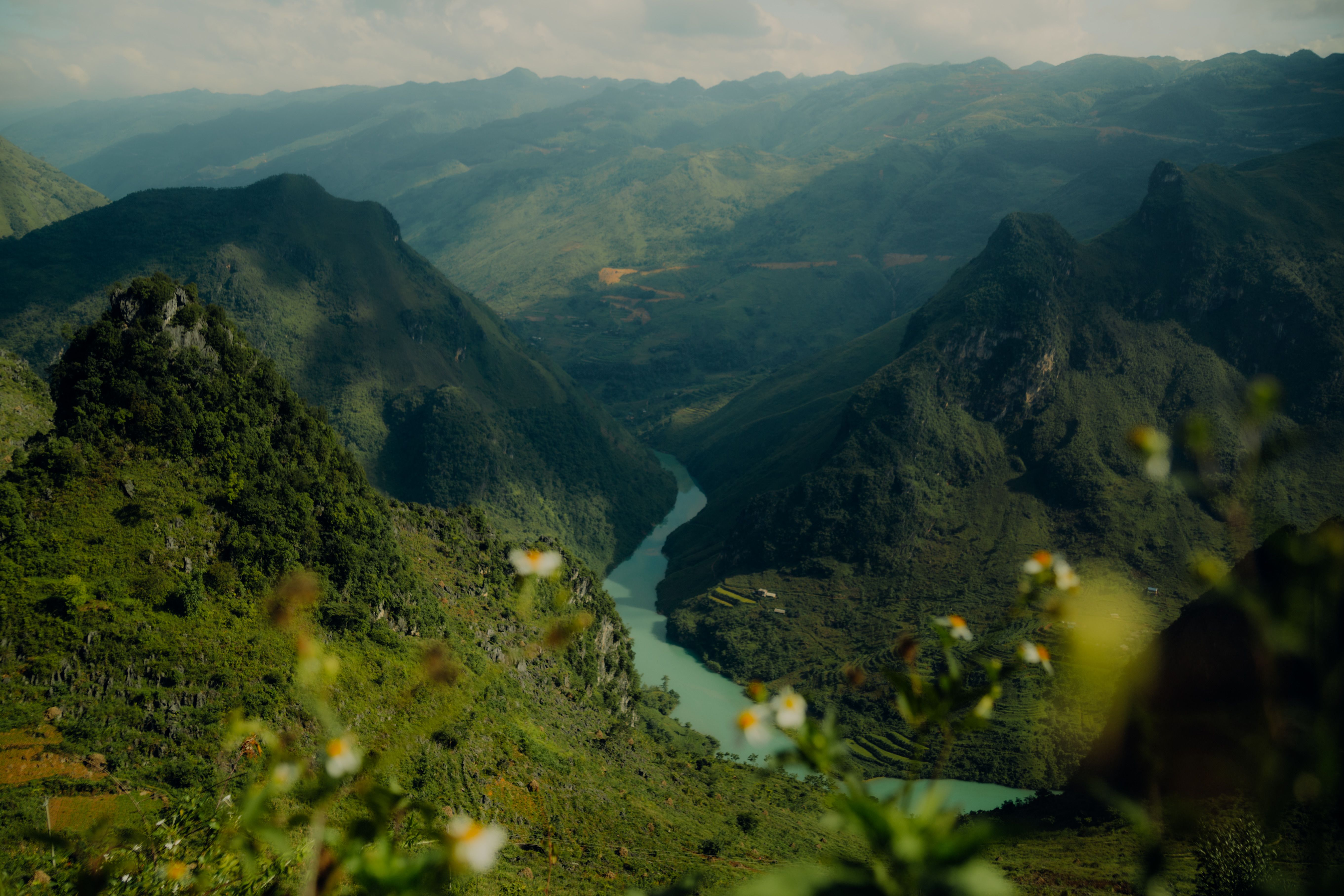 A winding river flowing through a lush green mountainous valley with some flowers blurred in the foreground.