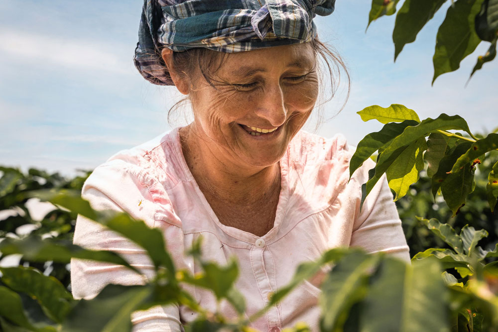 Smiling woman wearing a plaid headscarf and pink blouse picking green leaves from plants outdoors under a partly cloudy sky.