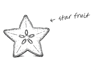 Black and white drawing showing a starfruit cross-section and a detailed cannabis leaf side by side.