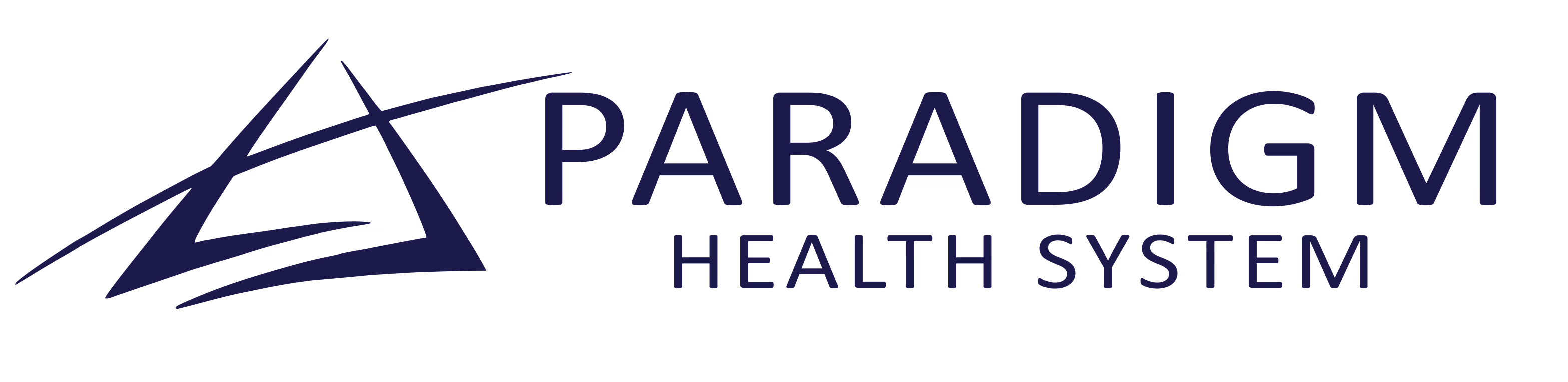 paradigm-health systems logo
