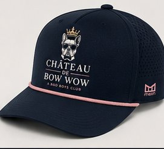The Member snapback in Midnight