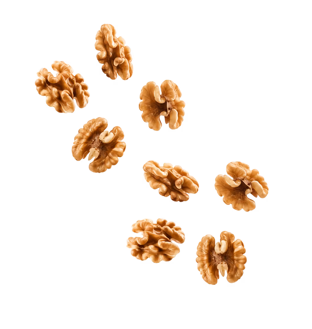 nueces