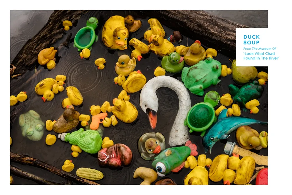 Numerous yellow rubber ducks along with various other rubber animals and objects floating in water, including a white swan, a green frog, and a blue dolphin toy.