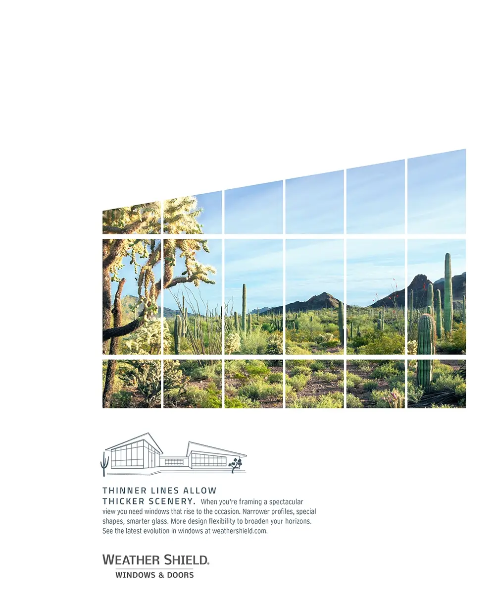 Window panes framing a scenic desert landscape with cacti and mountains under a blue sky, promoting thinner window lines for better views.