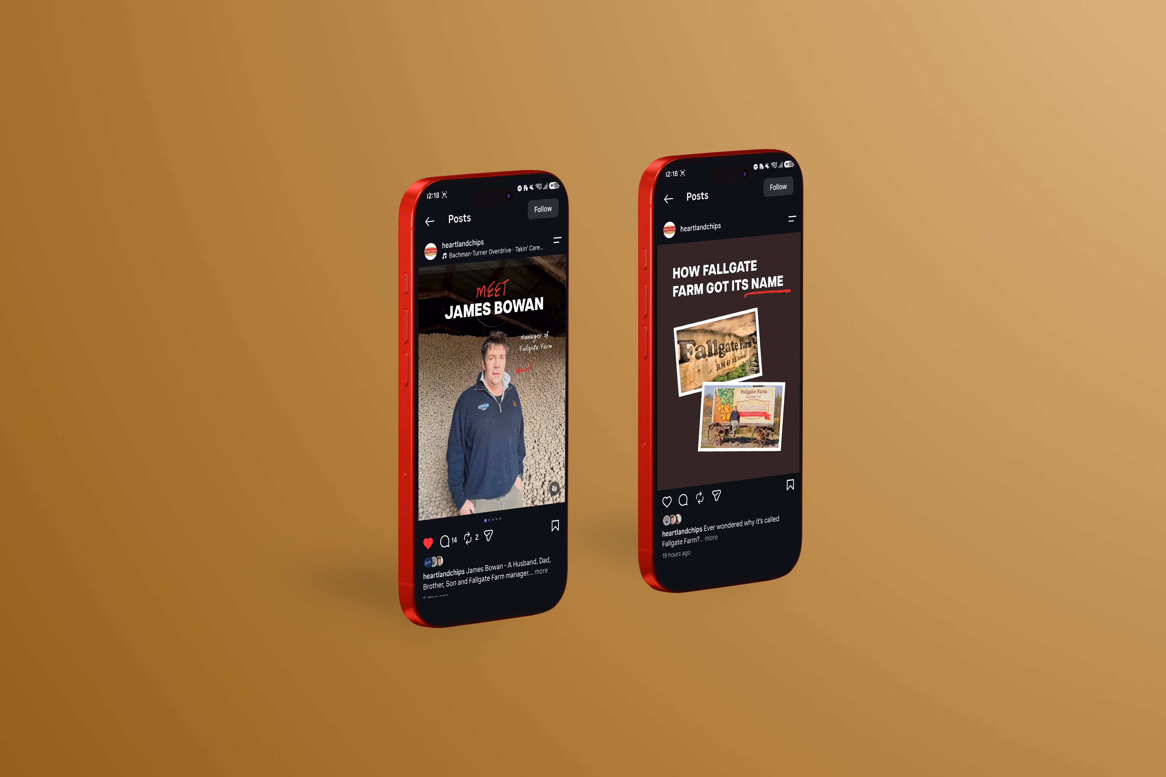 Heartland Potato Chips social media content by Scooch Marketing & Design Timaru
