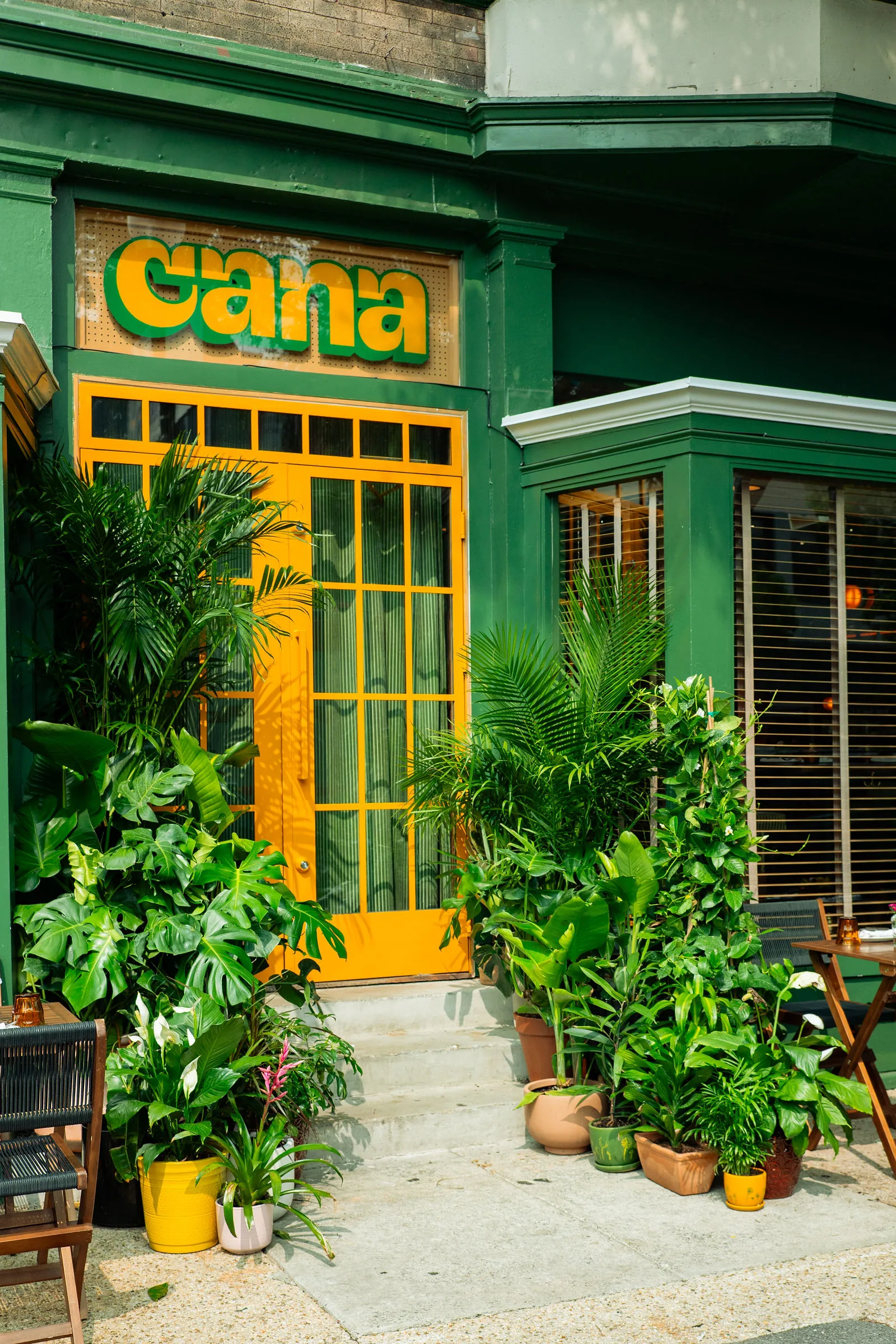 CANA's green facade, yellow entrance, sign, and lush sidewalk planting in Adams Morgan