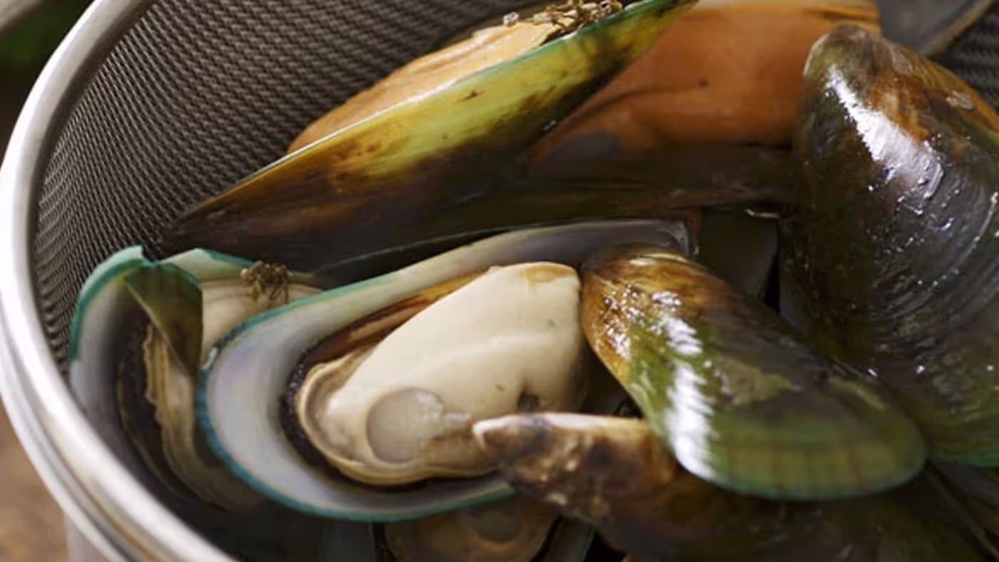 Our guide to sourcing, storing & cooking mussels