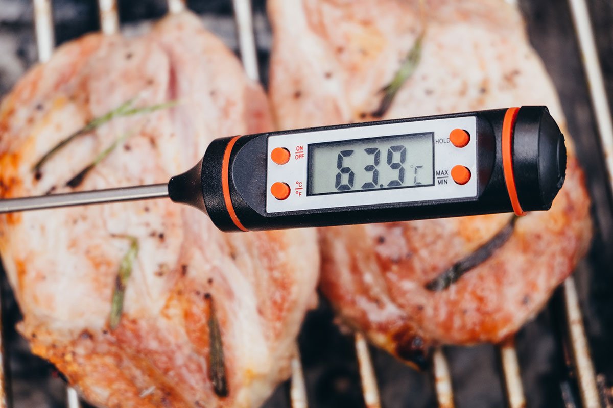 Ensuring Precision in Temperature Monitoring: A Pillar of Food Safety