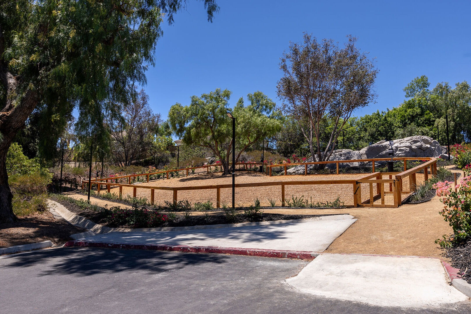 Dog Park