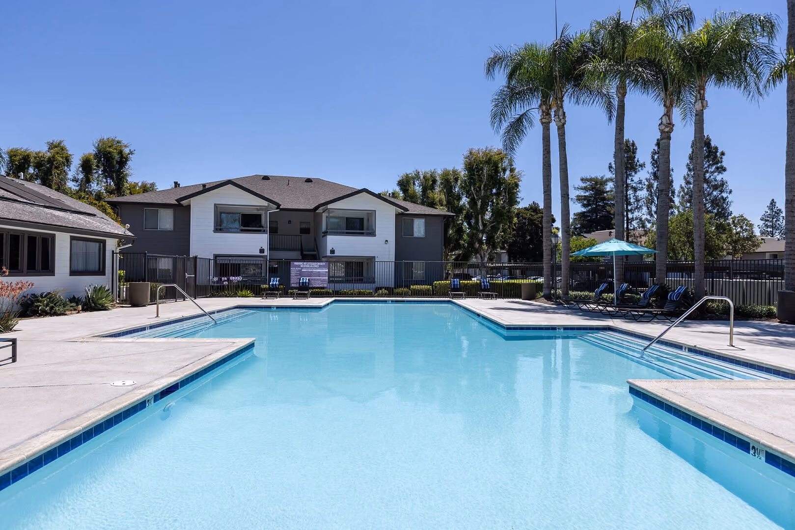 Pool with palm trees
