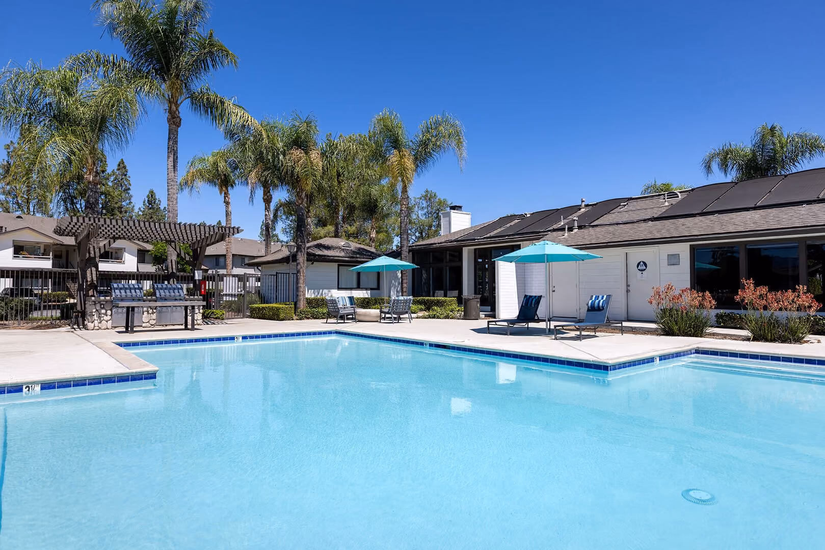 Pool with palm trees