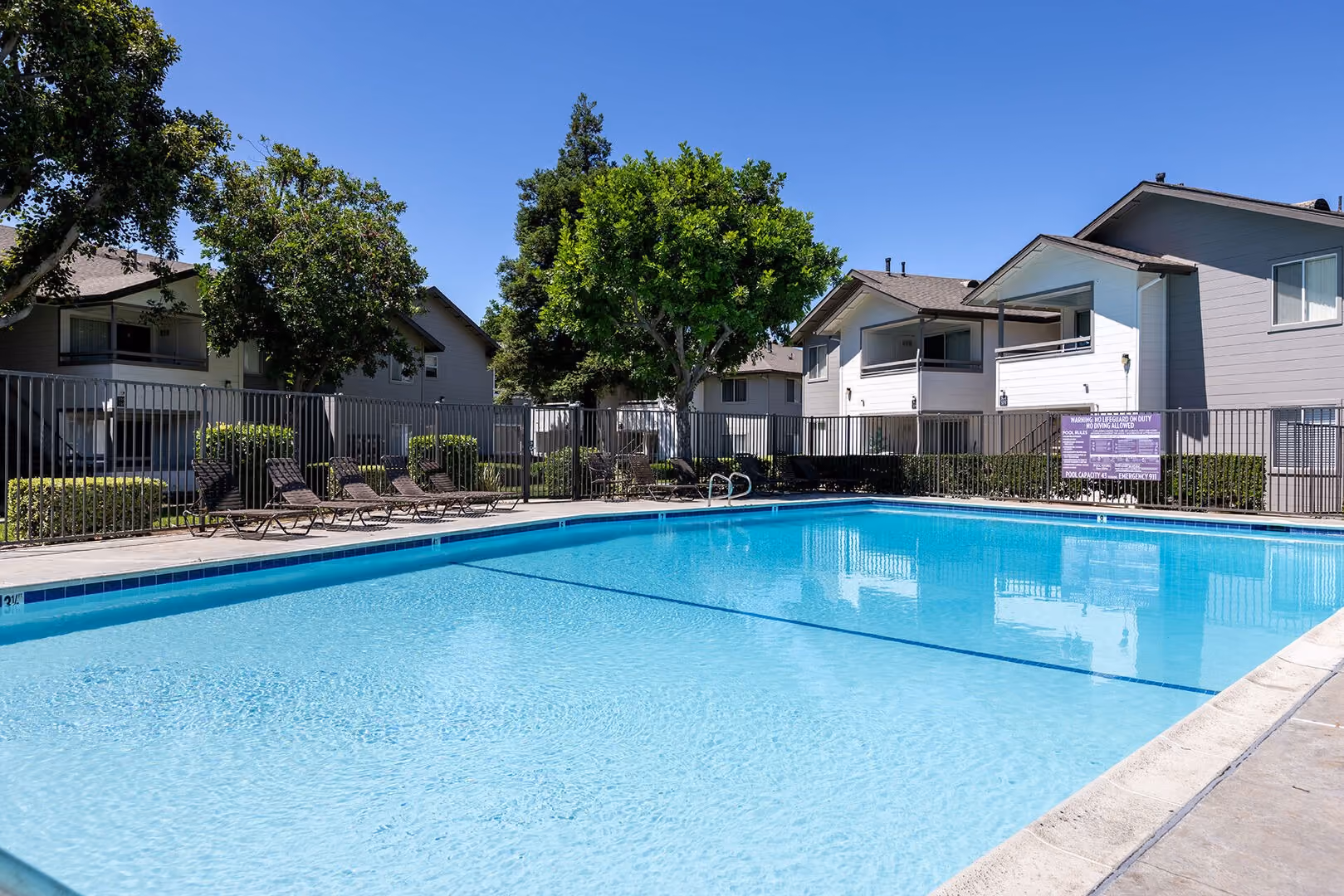 Pool with palm trees
