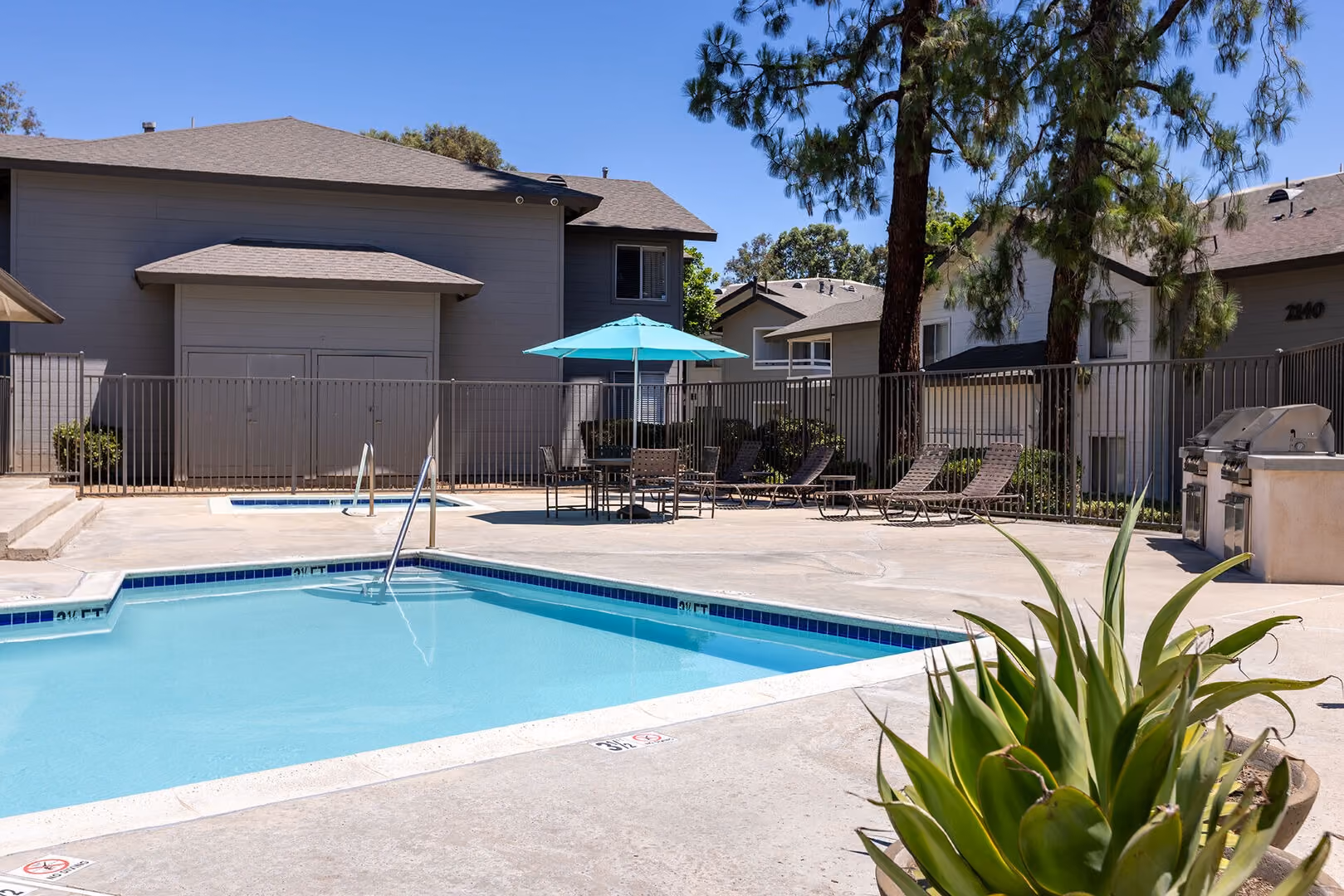 Pool with palm trees
