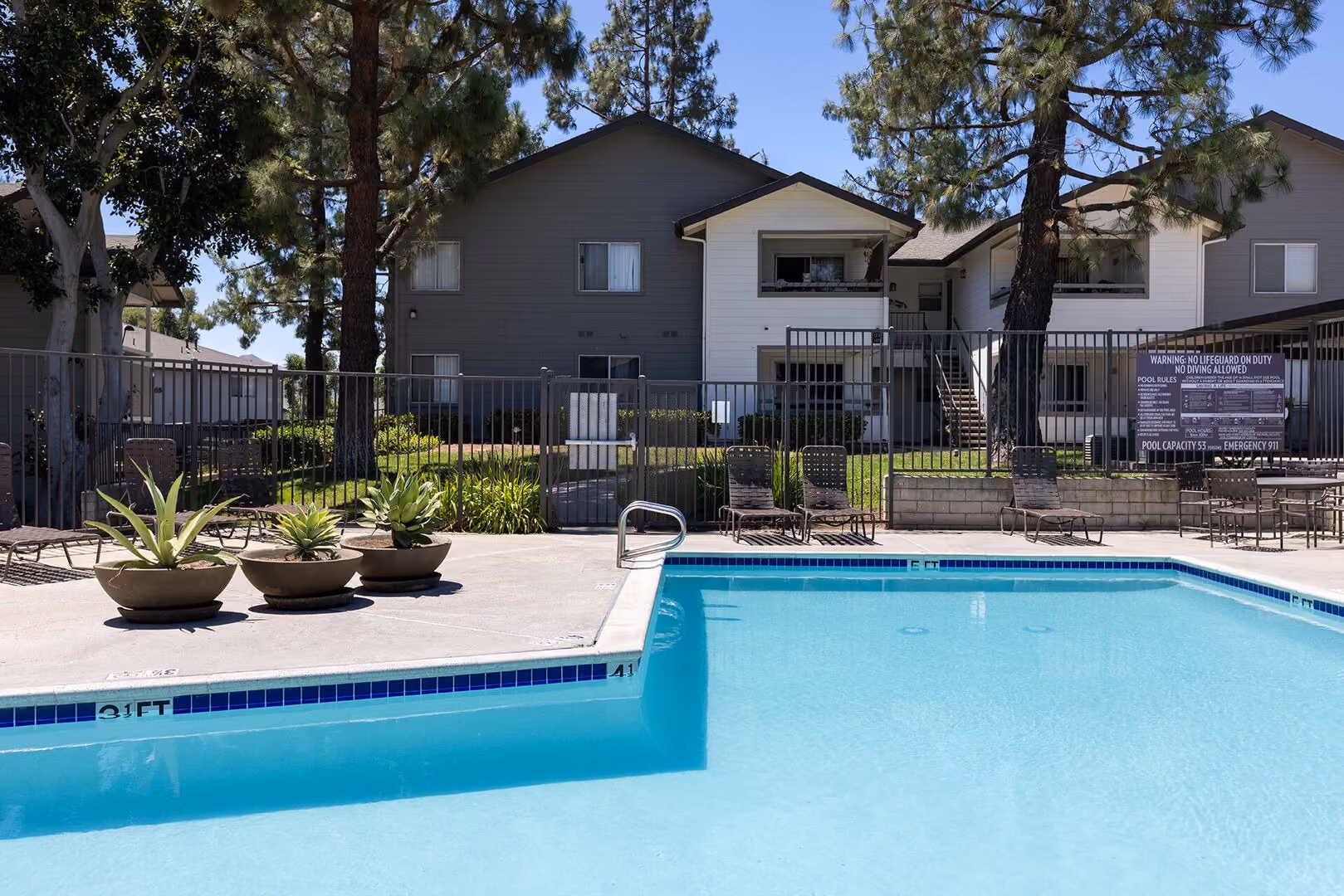 Pool with palm trees