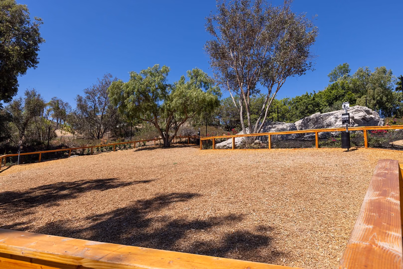 Dog Park