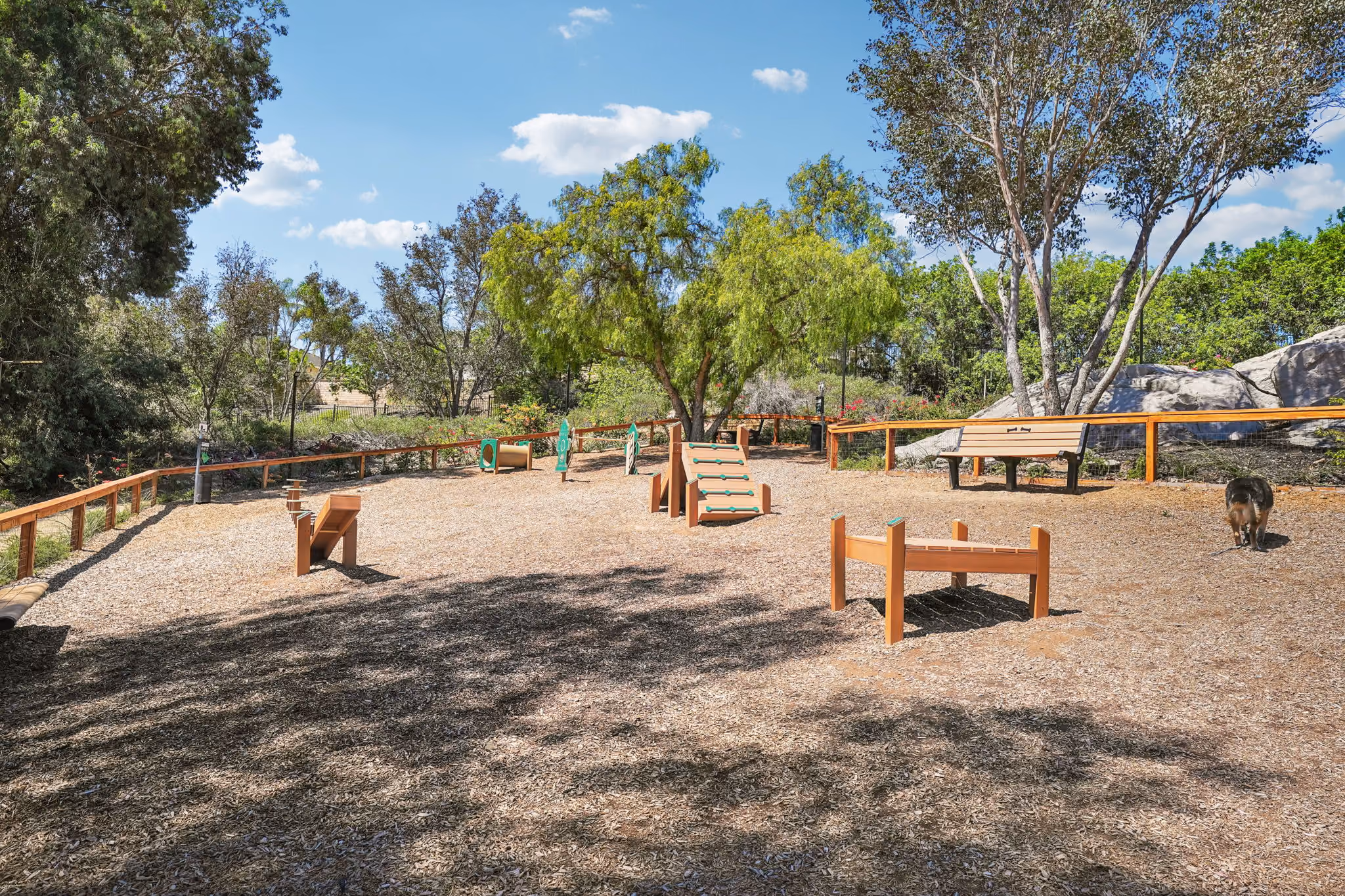 Bark park