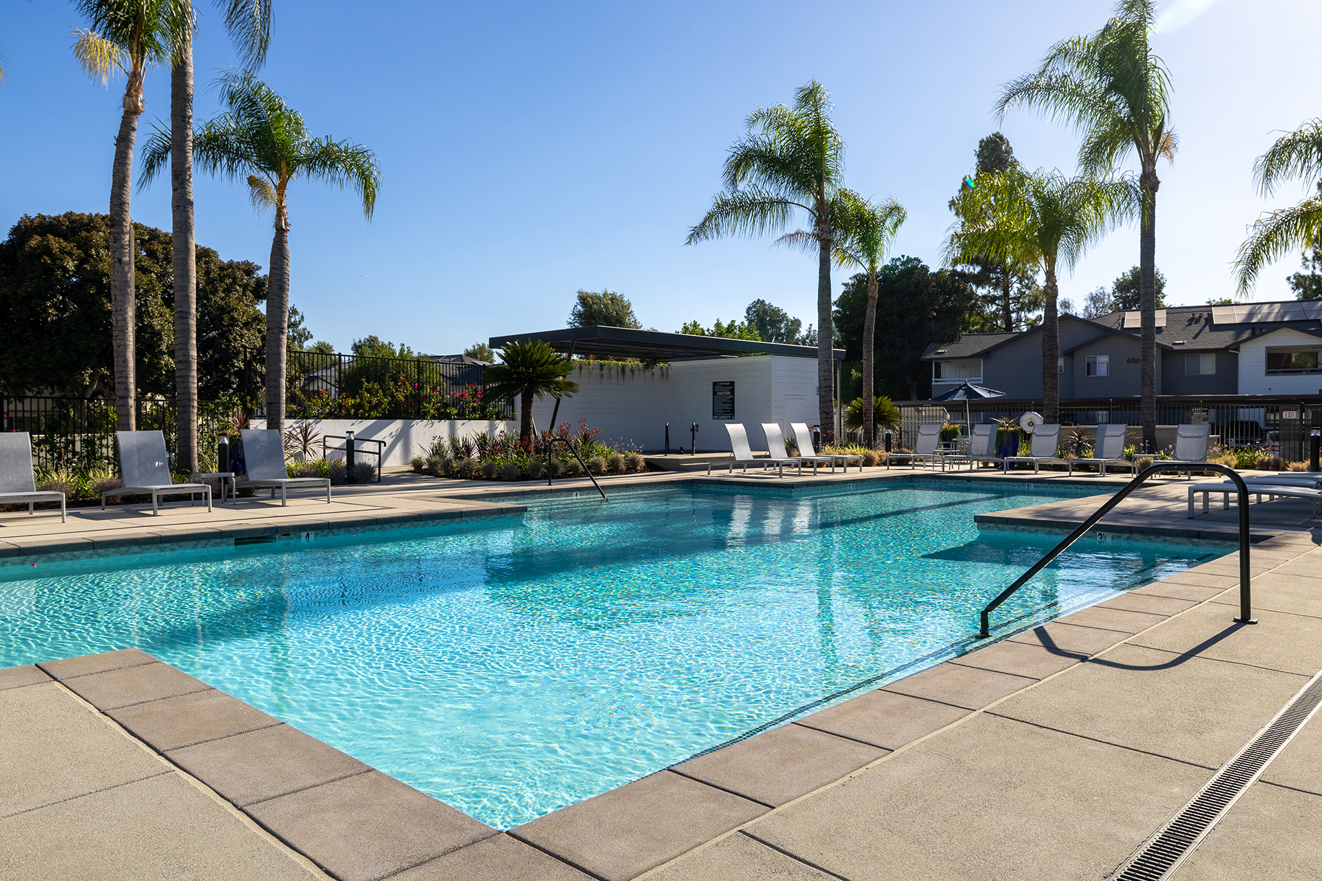 Pool surrounded by palm trees and lounge chairs