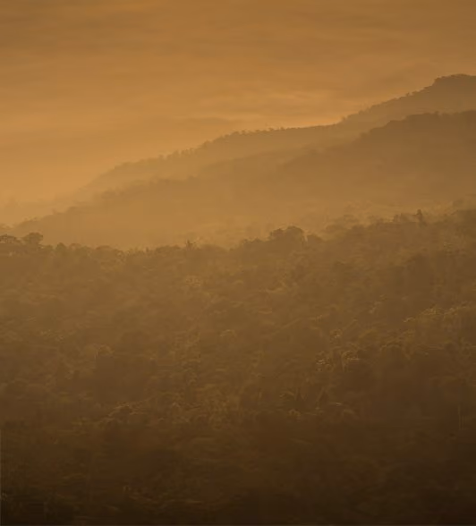 Hazy mountain landscape with layers of forested hills fading into the distance under a warm, golden light.