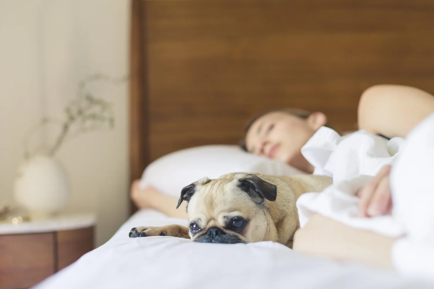 3 Hormones To Blame For Bad Sleep