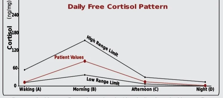 Example of DUTCH comprehensive cortisol testing