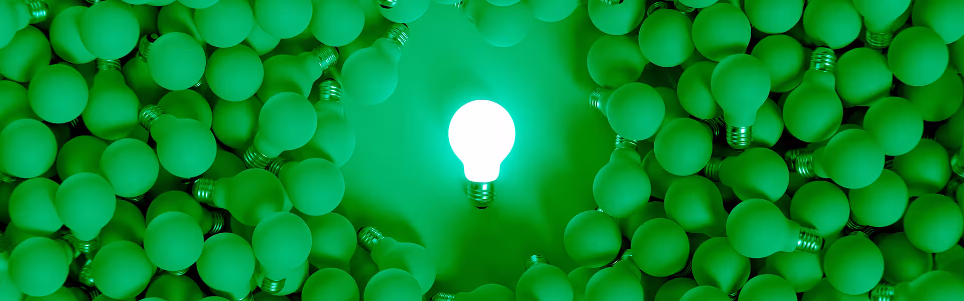 Conceptual visual of innovation and standout thinking, with a single illuminated lightbulb surrounded by dim bulbs in a green-toned environment