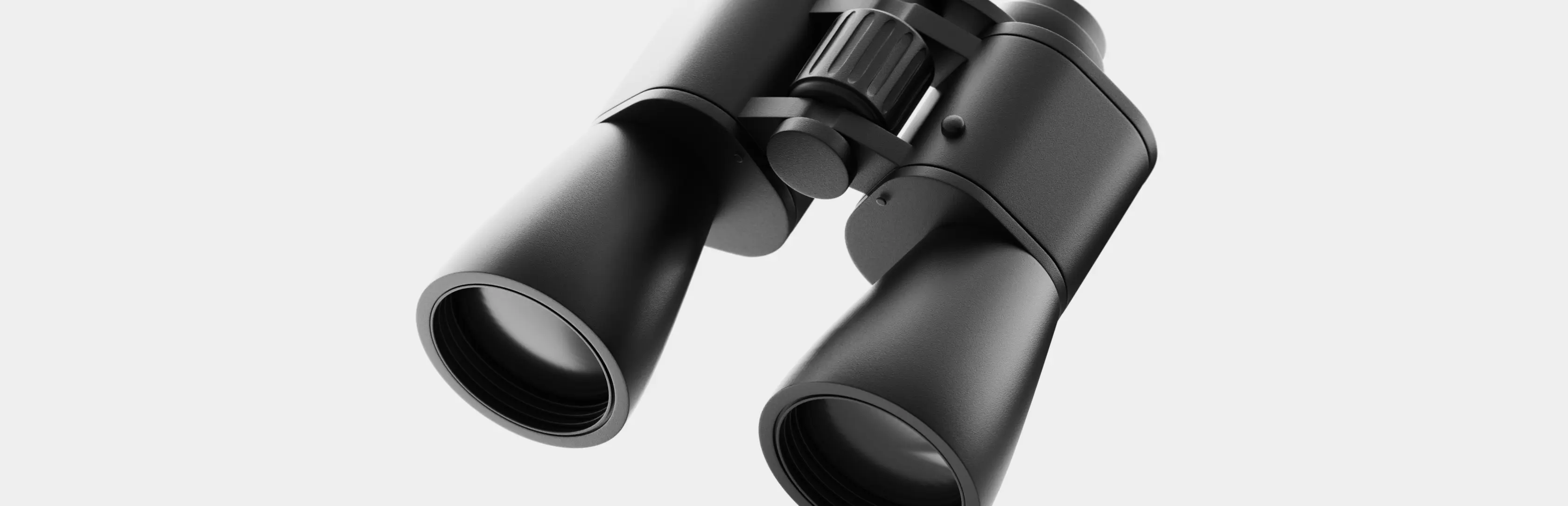 A 3D models of a pair of binoculars