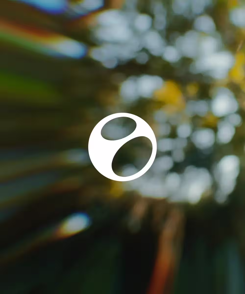 Elva AI video editor brand identity case study cover by Lazarev.agency