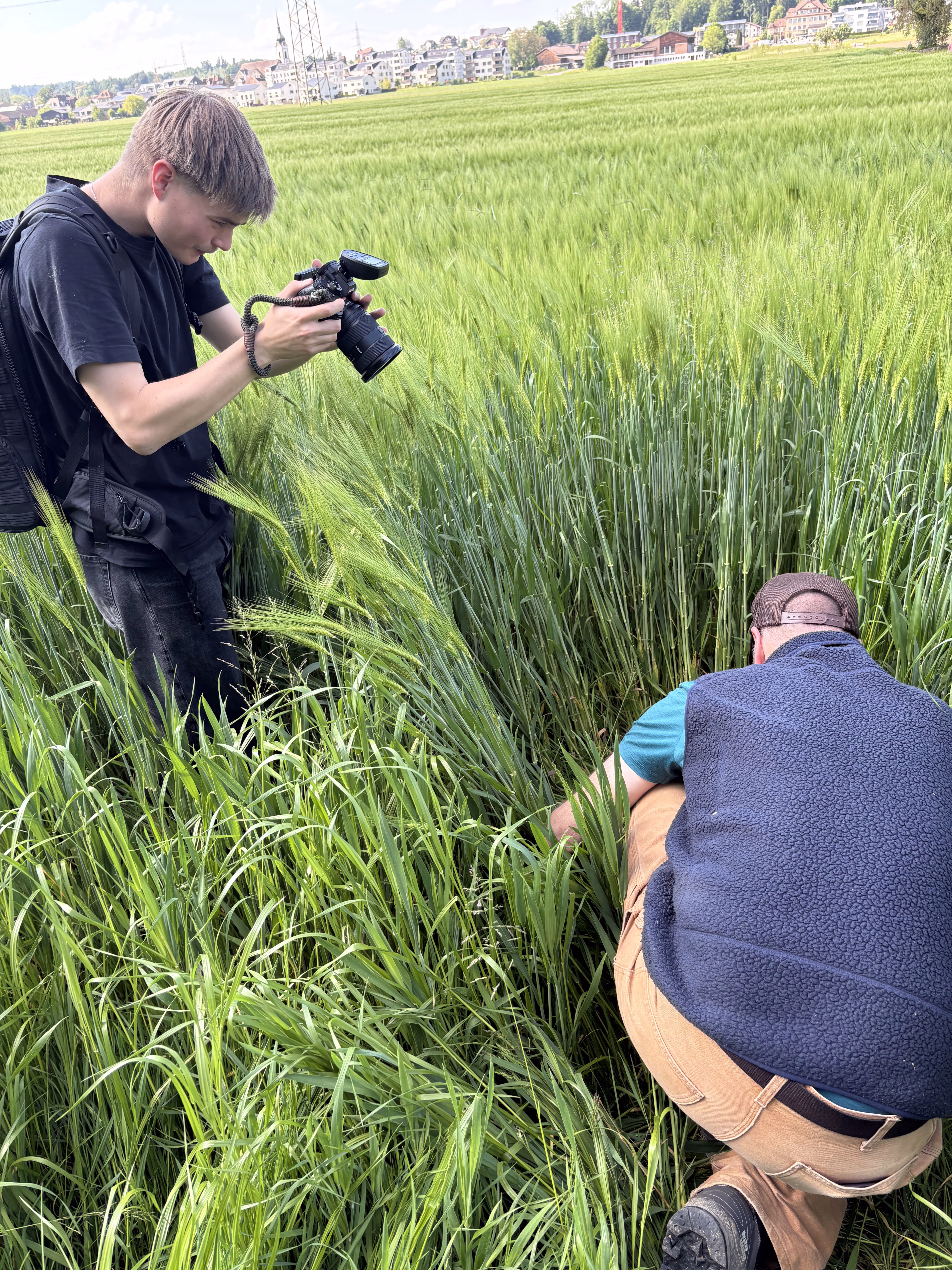 erdig-Fotoshooting von deeds im Getreidefeld in Meggen: Fotograf dokumentiert Bodenmikrobiom-Startup