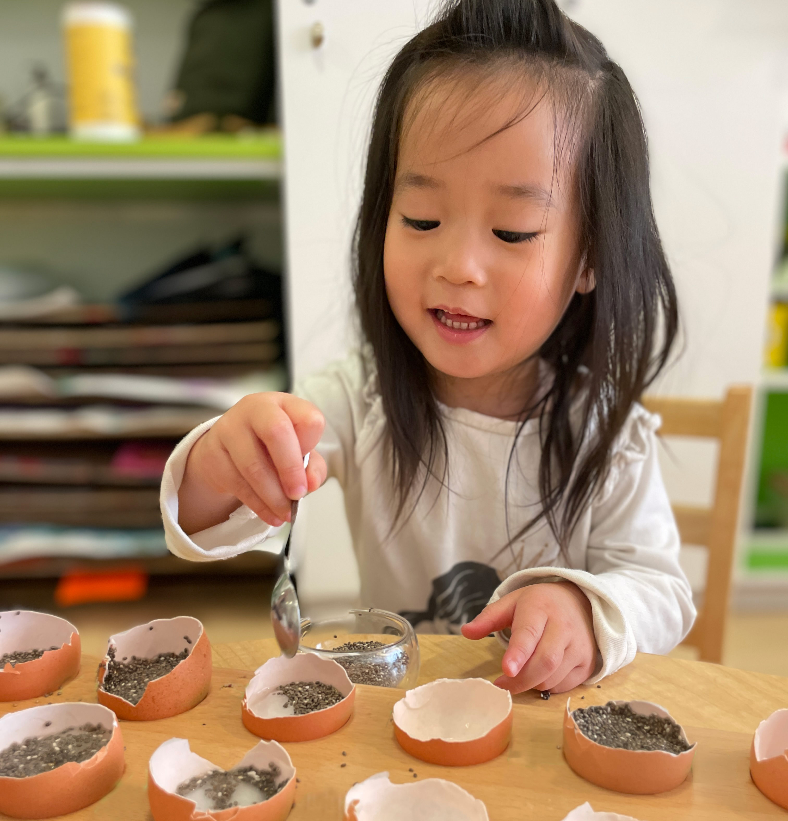 Pine Street School Nursery student planting seeds in eggshells during a hands-on Montessori activity exploring botany, life cycles, and Practical Life skills.