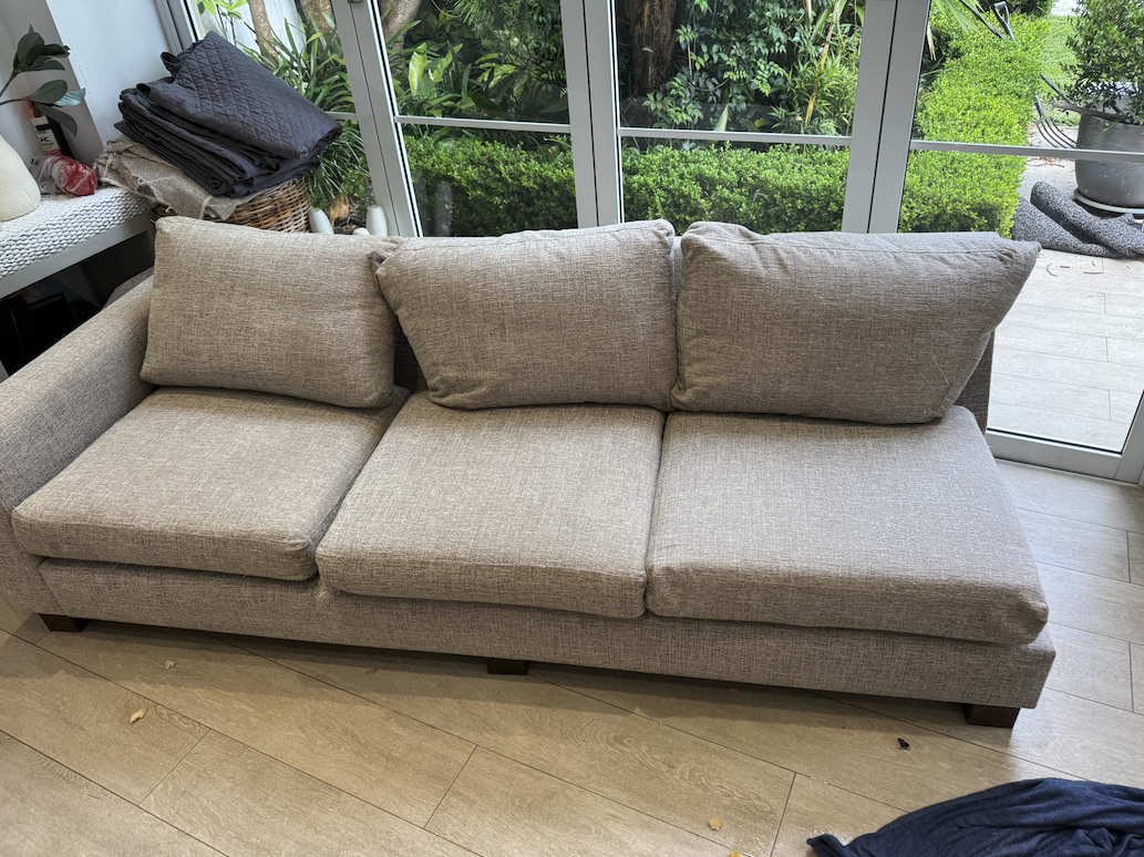 Pet stain couch cleaning after result in Coogee