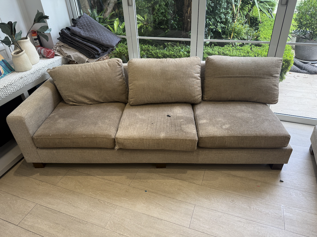 Pet stain couch cleaning before result in Coogee