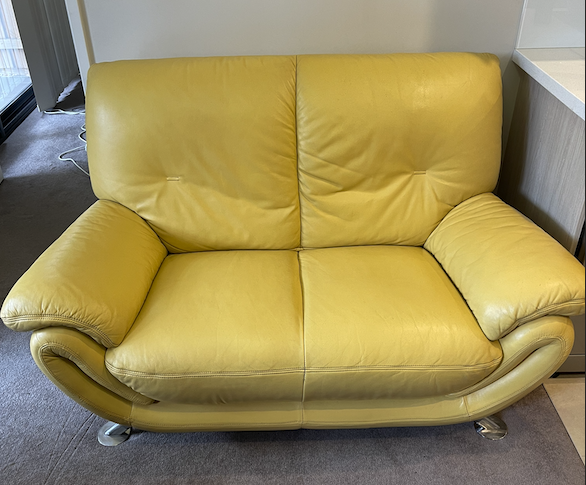 Mega Clean technician professionally cleaning a leather lounge