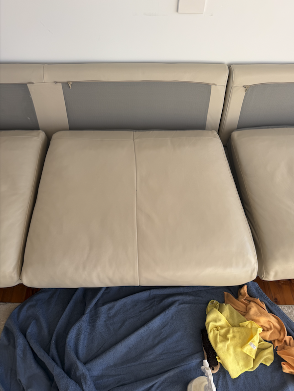 Mega Clean technician professionally cleaning a leather lounge