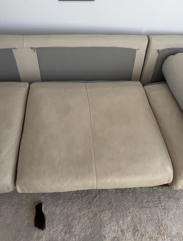 Mega Clean technician professionally cleaning a leather lounge