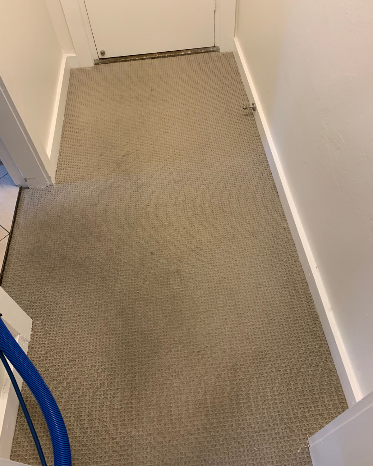 Commercial carpet cleaning before result in Parramatta office