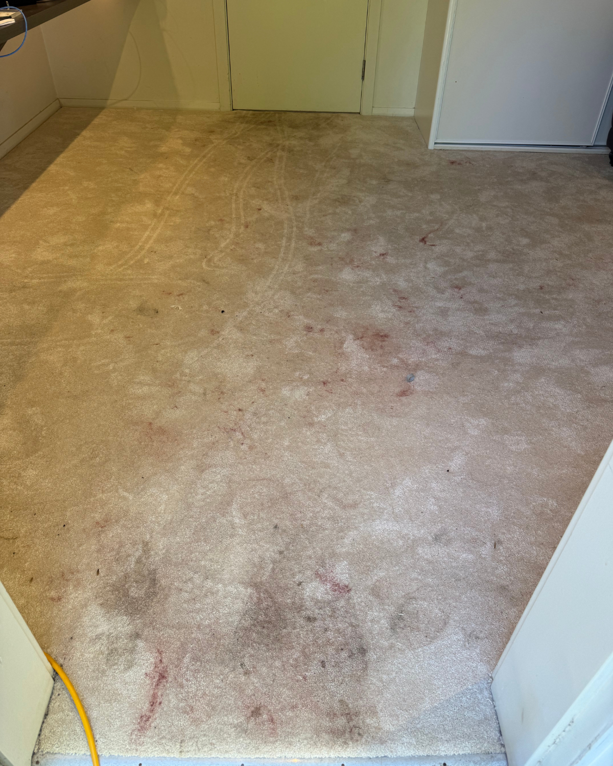 Before carpet steam clean