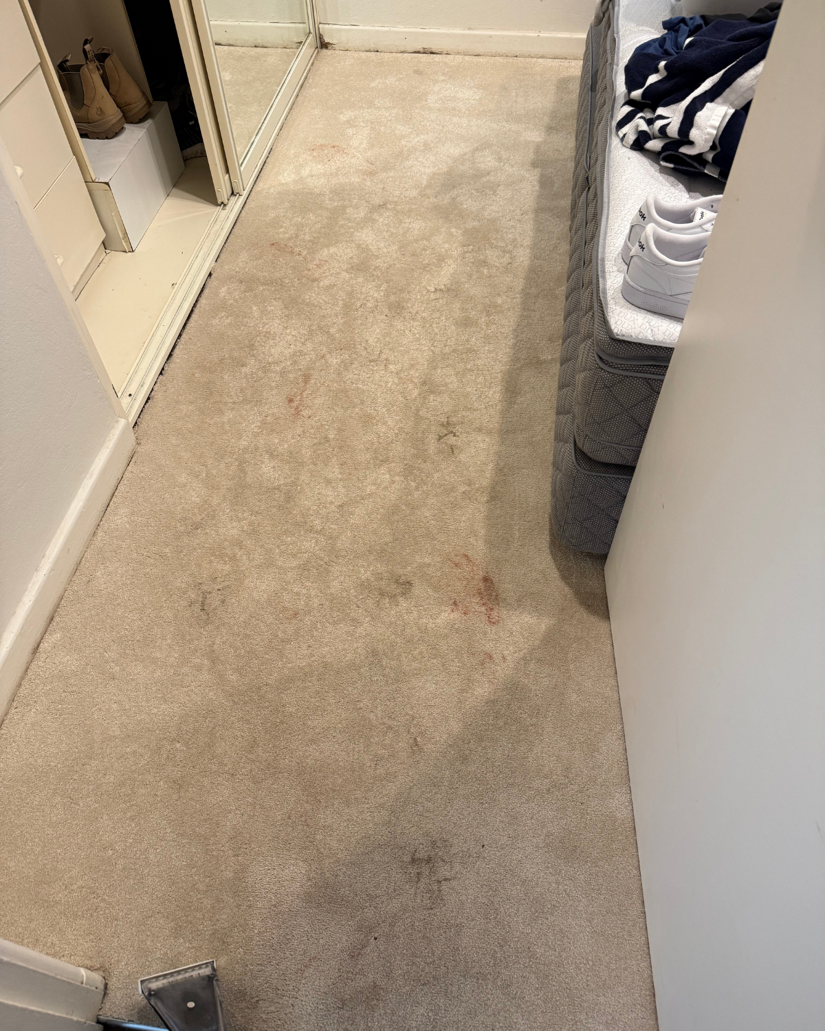 Before carpet steam clean