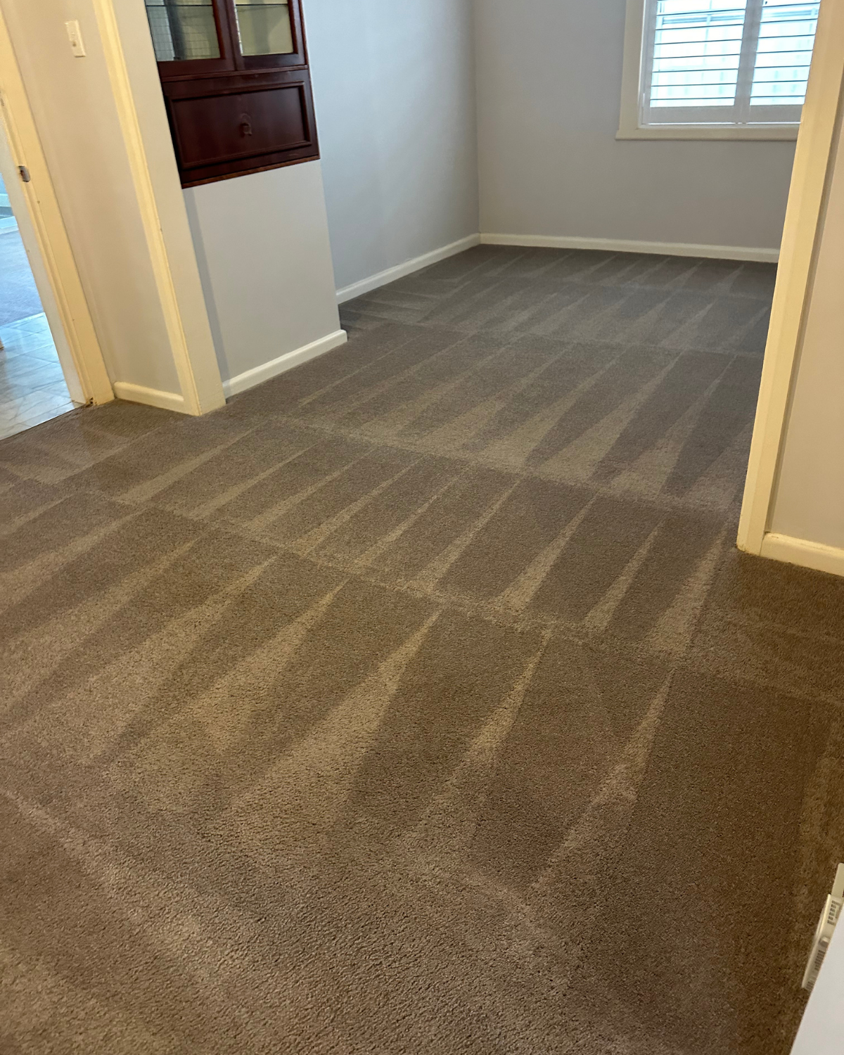 Professional end of lease carpet cleaning in a Sydney apartment