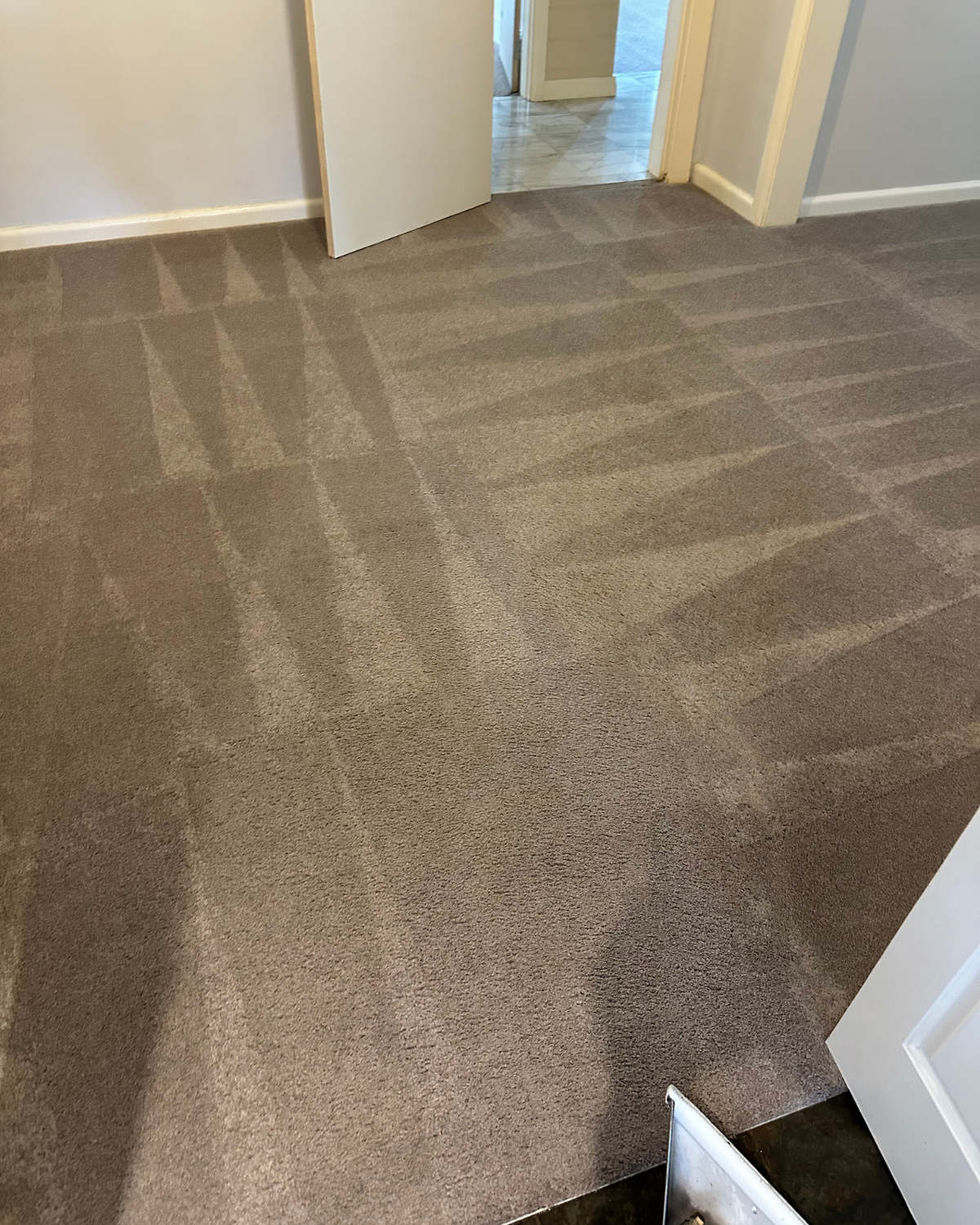 After carpet cleaning