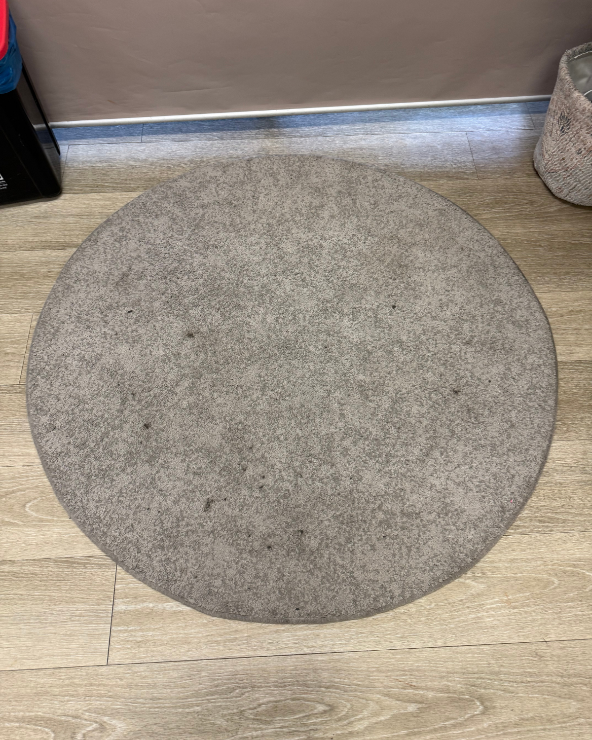 Mega Clean technician professionally cleaning an area rug