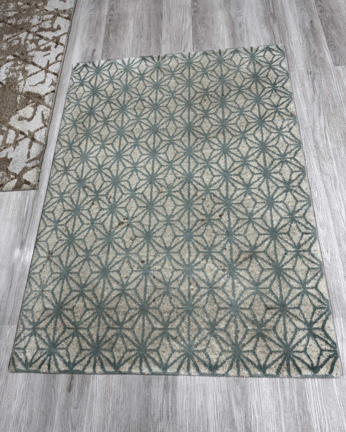 Before rug clean