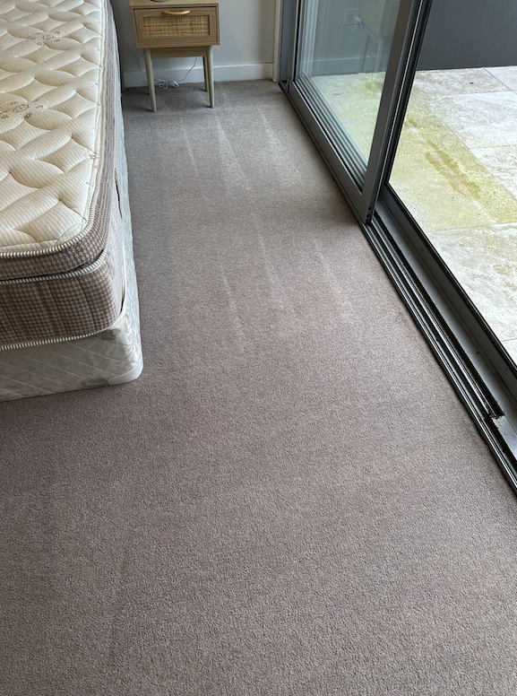 After carpet steam clean