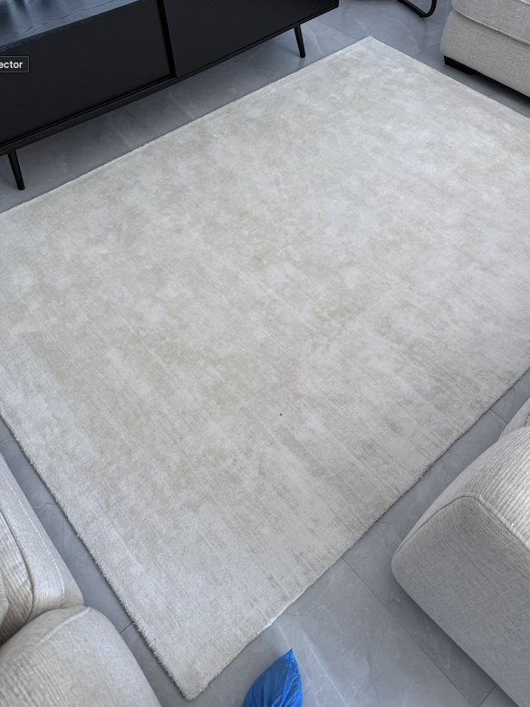 Before rug clean