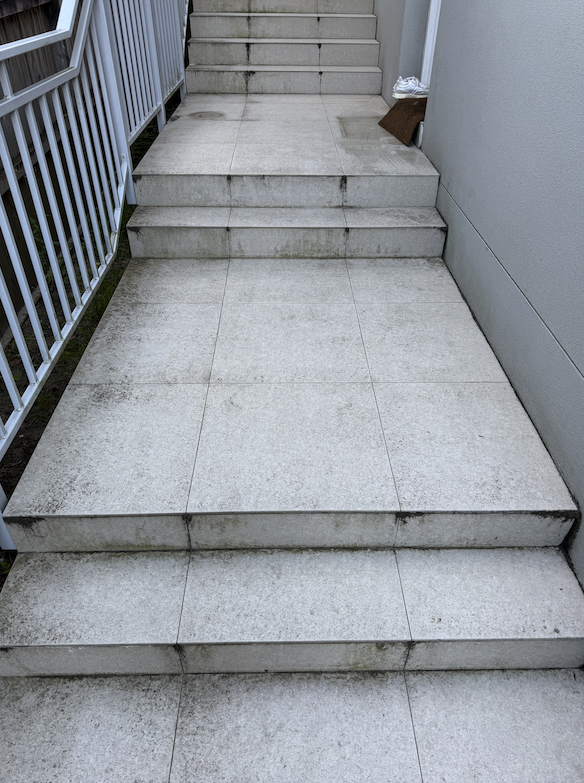 Before tile grout clean