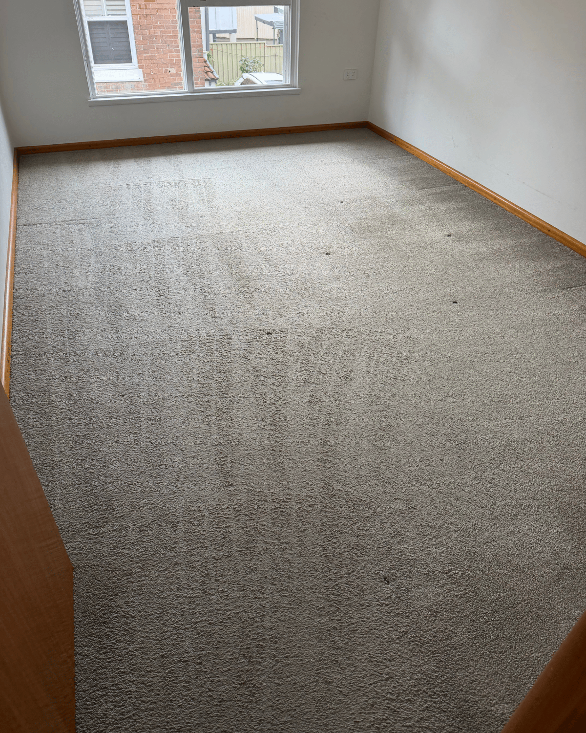 Mega Clean technician deep cleaning carpet before a final inspection