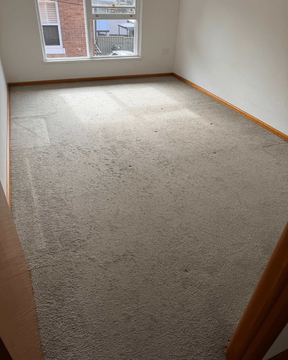 Mega Clean technician deep cleaning carpet before a final inspection