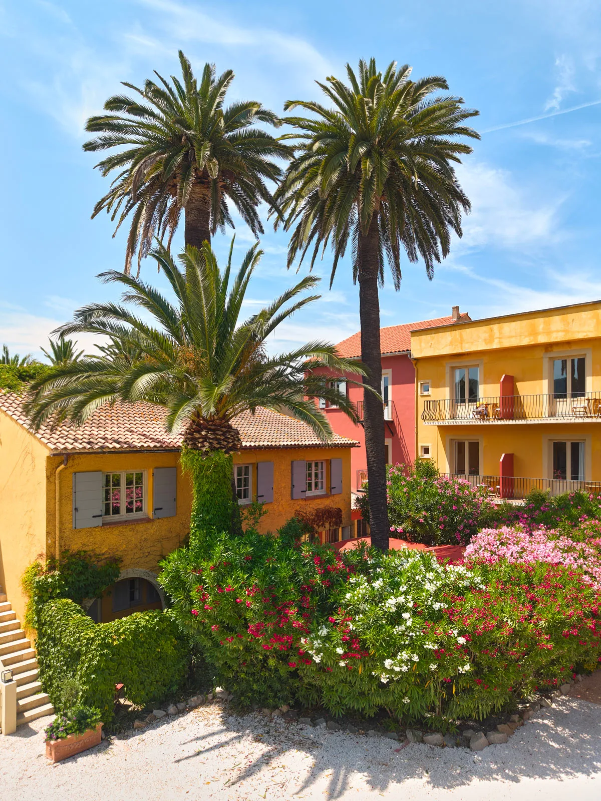 Cortile mediterraneo con due alte palme, edifici dalle facciate gialle e rosa, persiane grigie e aiuole di oleandri bianchi e rosa in primo piano.