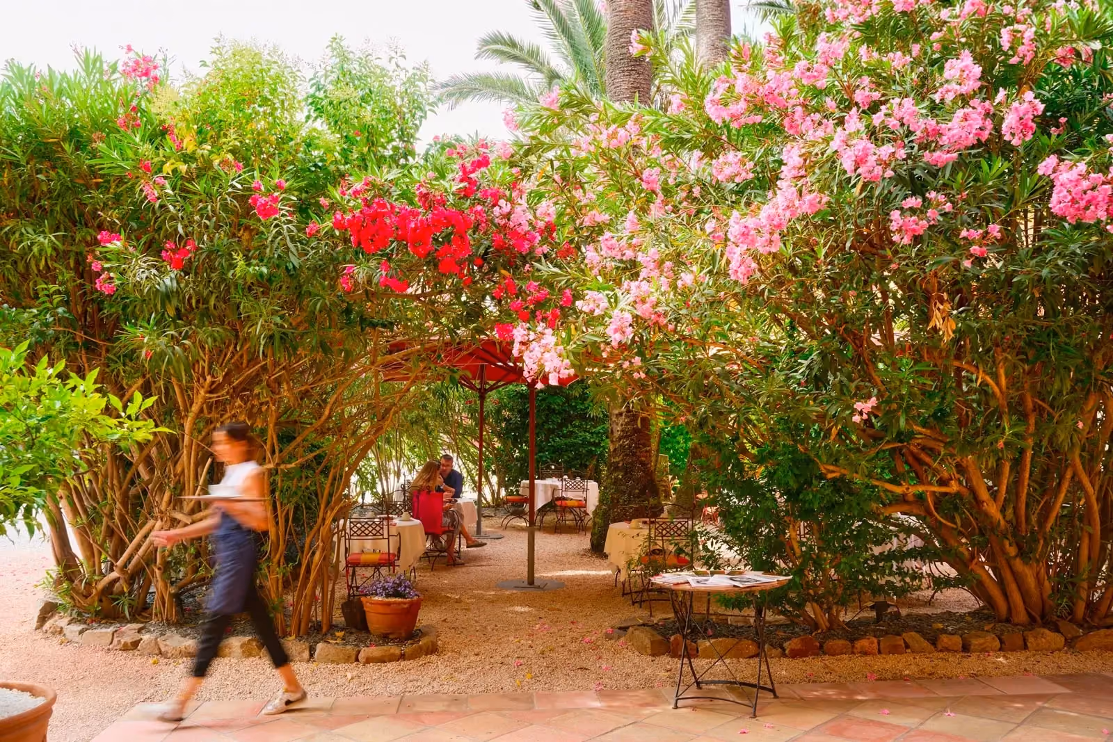 Terrasse extérieure ombragée par des lauriers-roses en fleurs, avec tables dressées, parasol rouge, et une serveuse en mouvement portant un plateau.